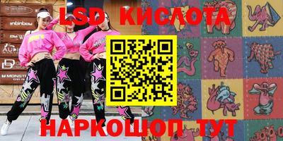 шишки Дубна
