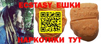 шишки Дубна