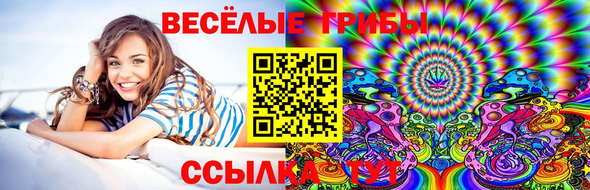 как найти   Вход с VPN  Шали  Галлюциногенные грибы мухоморы 